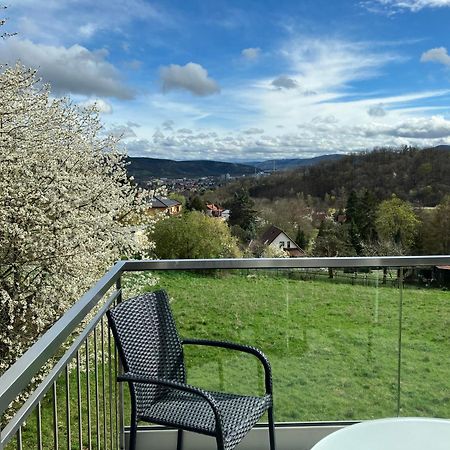 Studioappartment Saaleblick Rudolstadt Exterior foto